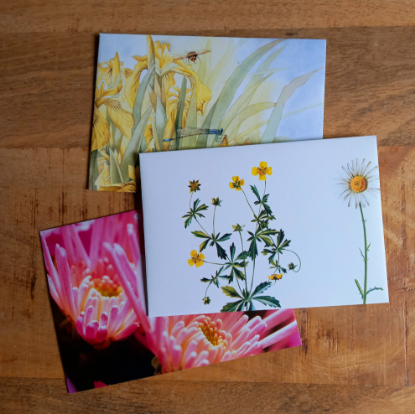 Afbeeldingen van Enveloppen Mix Bloemen