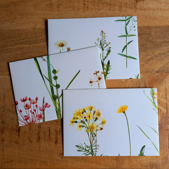 Afbeeldingen van Enveloppen Mix Bloemen Illustraties